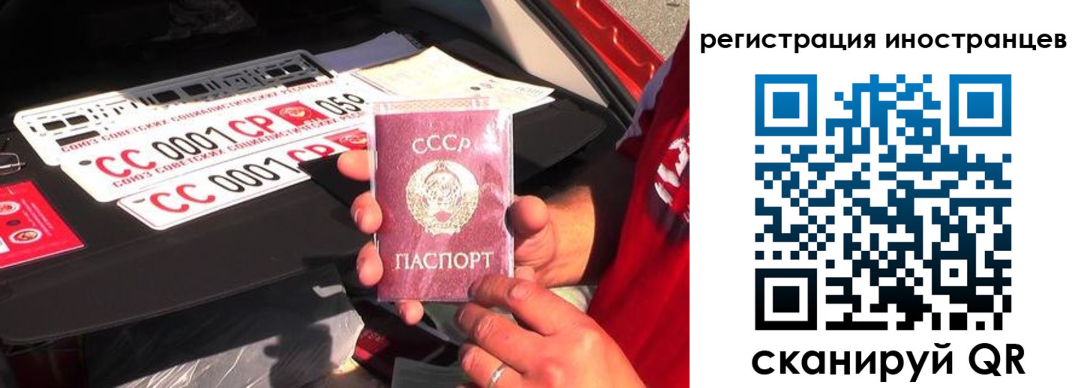 прописка гарантия в Дальнегорске